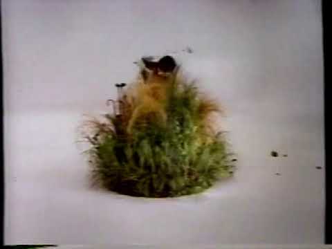 IBM PC Computer Commercial 1985