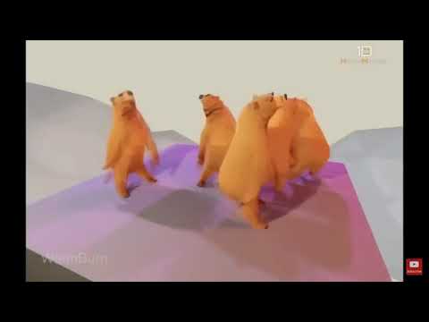 Bears dancing to sweet dreams for 11 minutes and 6 seconds