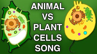 ANIMAL VS PLANT CELLS SONG
