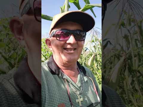 Vídeo de Loreto Ma 