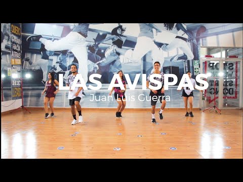 Las Avispas - Juan Luis Guerra | LATINATION