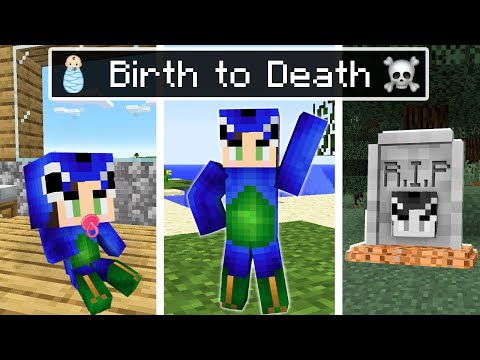 Ayush's BIRTH to DEATH In Minecraft 😱 (Hindi)