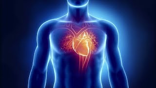 Antiarrythmic Drugs Part 1: The Physiology of Heart Rhythm
