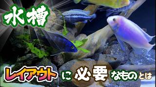 水槽アレンジ/その考え方と方法【熱帯魚飼育/アクアリウム】