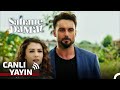 Şahane Damat Tüm Bölümler 7/24 #canlıyayın