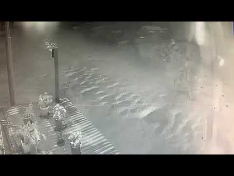 Необычное хобби жителя Якутска привело к возбуждению уголовных дел