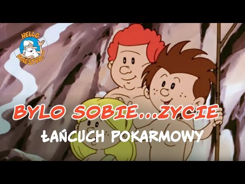 Bylo Sobie... Zycie 🌱 - Łańcuch pokarmowy 🧬