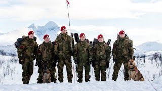 preview picture of video 'Hundetroppen i Militærpolitikompaniet - K9 MP 1307'