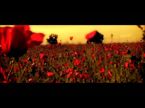 Video thumbnail for Din toate florile din lume