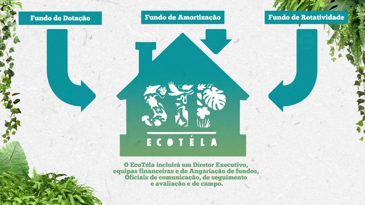 EcoTéla, o fundo fiduciário de conservação para São Tomé e Príncipe (STP)