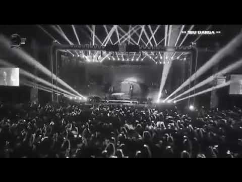 180 darga TAMER HOSNY