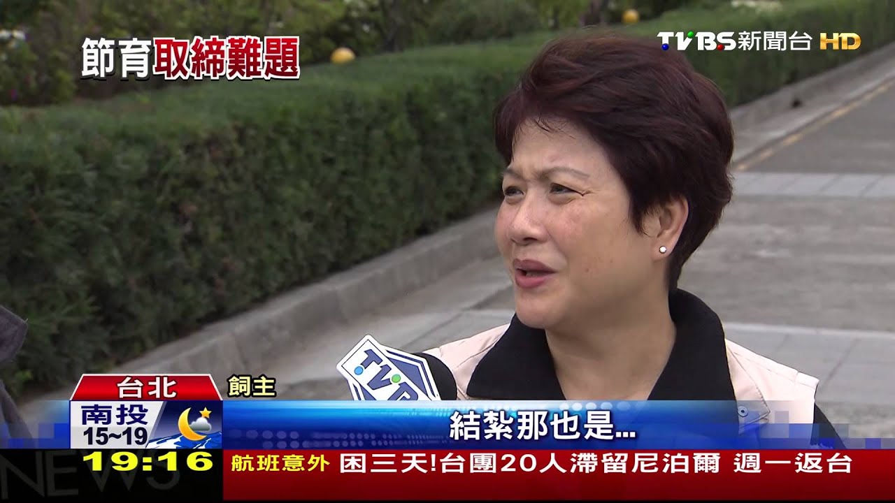 動保法新規!防遺棄 寵物犬依法結紮