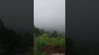 Download lagu story wa kabut pagi hari mp3