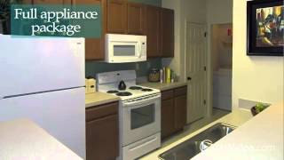 Legacy Pointe Apartments in Knoxville, TN - ForRent.com