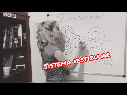 Sistema Vestibular - Resumo da anatomia, fisiologia e função do Sistema Vestibular Periférico