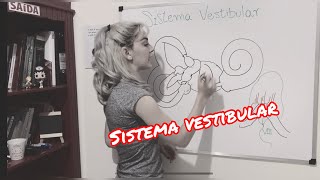 Sistema Vestibular - Resumo da anatomia, fisiologia e função do Sistema Vestibular Periférico