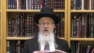 הגאון הרב אברהם יוסף שליט"א מתי צריך להחליף את הבגדים בליל תשעה באב תשפ"ה (הרב אברהם יוסף) - התמונה מוצגת ישירות מתוך אתר האינטרנט יוטיוב. זכויות היוצרים בתמונה שייכות ליוצרה. קישור קרדיט למקור התוכן נמצא בתוך דף הסרטון