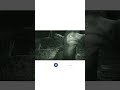 Extinct Animal's caught on camera | #shorts