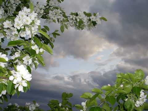 Etasonic Vs. Laucco - The Heaven's Breath (Eryon Stocker Remix)