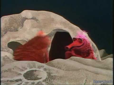 The Muppet Show: Koozebanian Mating Ritual