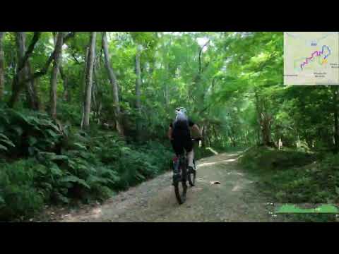 Montello: trail nascosti tra prese e sentieri | Hidden trails & prese MTB loop
