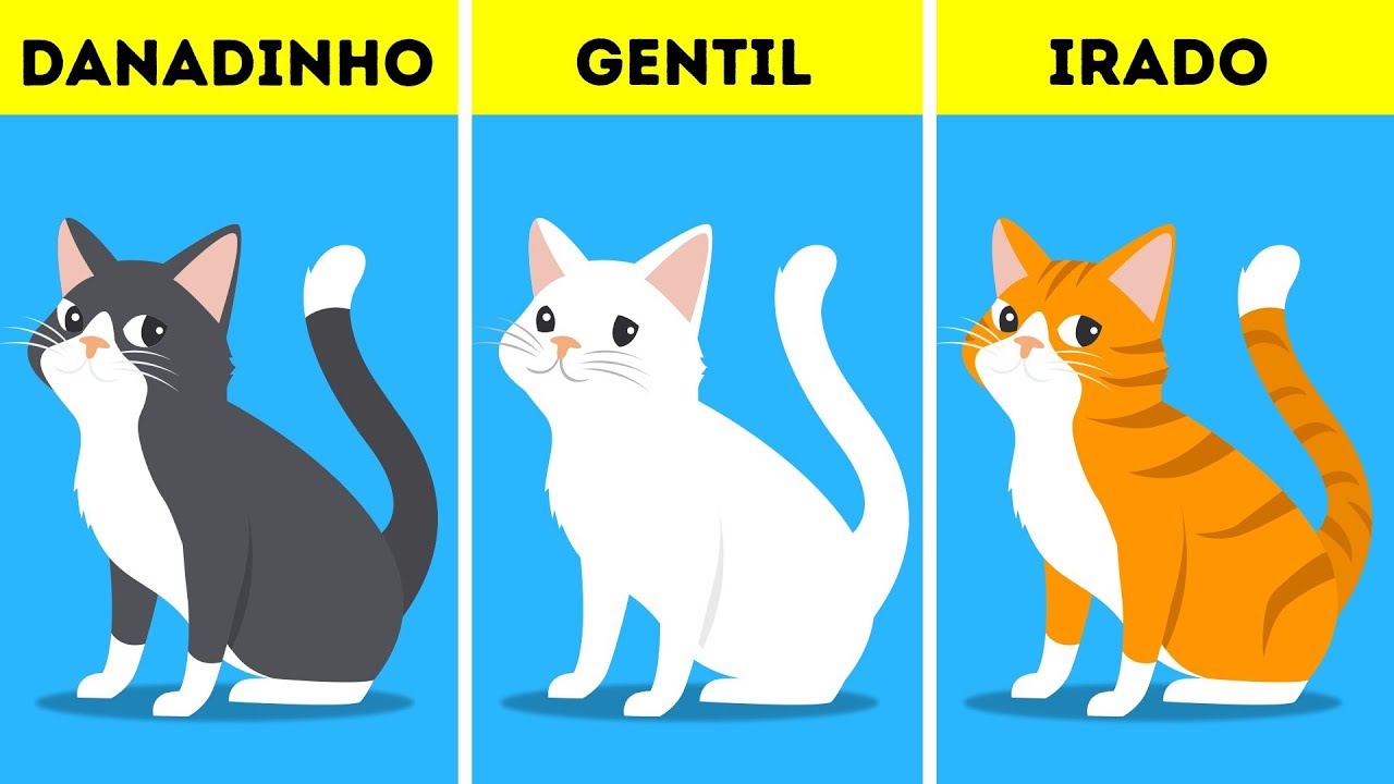 O Que a Cor do Pelo do Seu Animal de Estimação Diz Sobre a Personalidade Dele