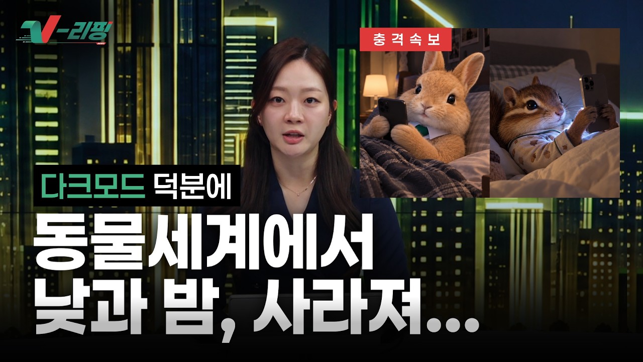 [이벤트] ㄷㅋㅁㄷ 덕분에 눈이 편안해졌다고?! l V-리핑 ep.1