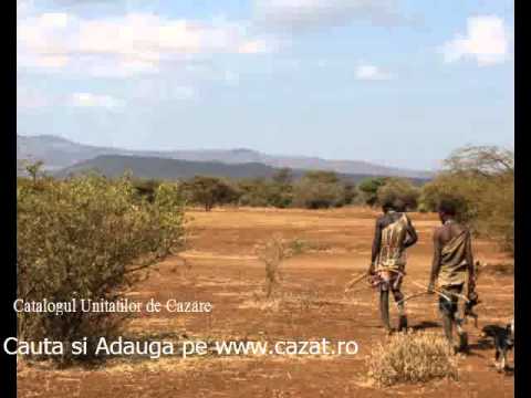 Cazare Chiteasca, Olt - Cazat.ro