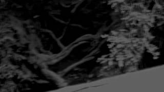 Cult of Luna - "Heartbeats"