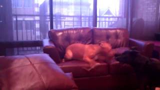 Download lagu Lola and Ruby mp3