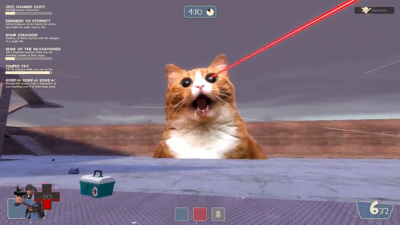 Team Fortress 2 - Laser Death Cat