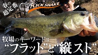 [bass окуня] Ранчо Флик на озере Фучу! Ключевые слова «плоский» и «вертикальный удар» / HIROAKI MIZUNO