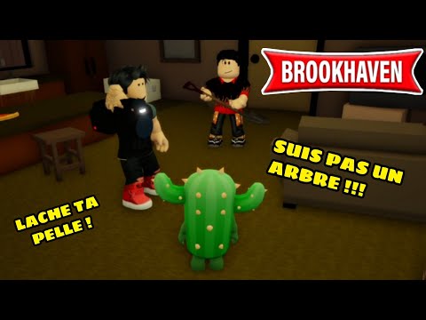 LE CACTUS VA SE FAIRE ENTERRER DANS LE JARDIN ... ?! BROOKHAVEN RP - ROBLOX