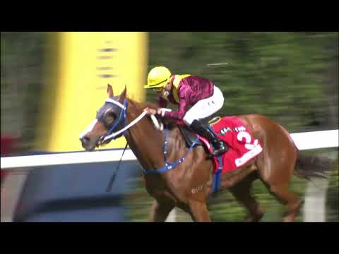 5/1/2022 (315) Kurpany - Vincent Ho