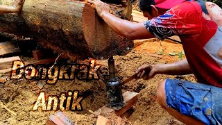 Download lagu Uncovered Again...!! Ironwood Buried for Decades... mp3 Download lagu Uncovered Again...!! Ironwood Buried for Decades... mp3