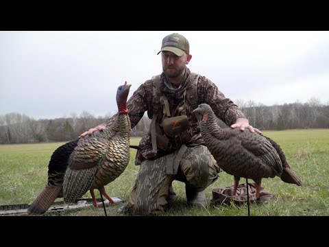 Turkey Decoy Review: Avian-X HDR Jake And Hen Combo