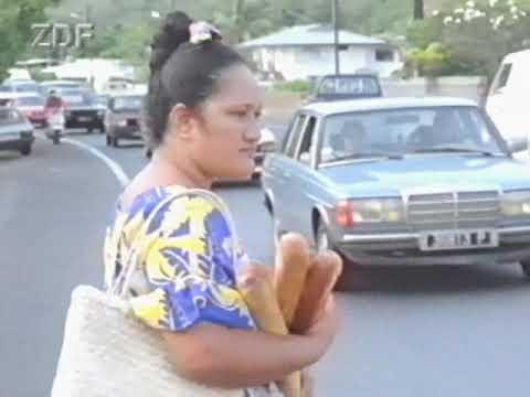 Das Logbuch der Bounty Terra X