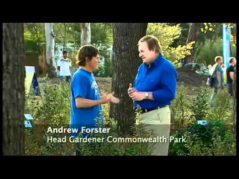 Better Homes and Gardens.wmv Thumbnail