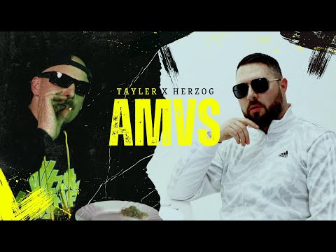 Tayler & Herzog - Alles muss versteckt sein (prod. von StanTuned & Nouh)