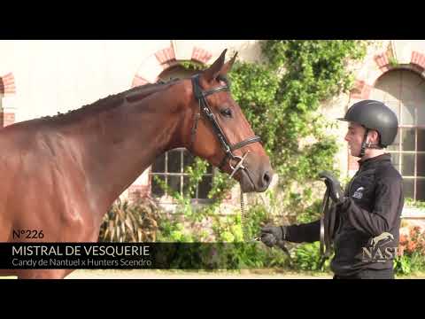 MISTRAL DE VESQUERIE