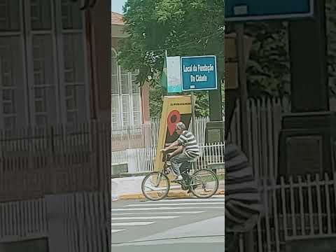 Palmeiras,  árvores e frondoso ipê no marco zero de Pirassununga SP 10.12.2025 10:45 Horas