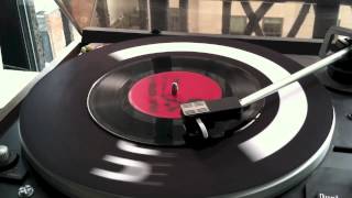 Gogol Bordello -- Lost Innocent World (AUDIO)