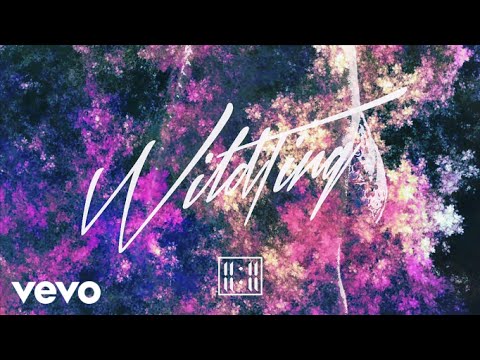 11:11 - Wild Ting (Audio)