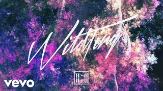 11:11 - Wild Ting (Audio)