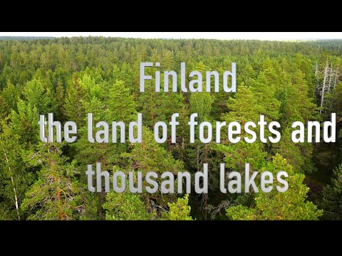 Flying drone  over Finnish forest