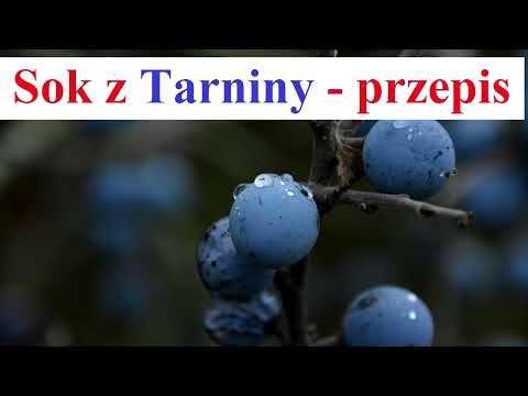 Sok z TARNINY - Przepis, jak Przygotować