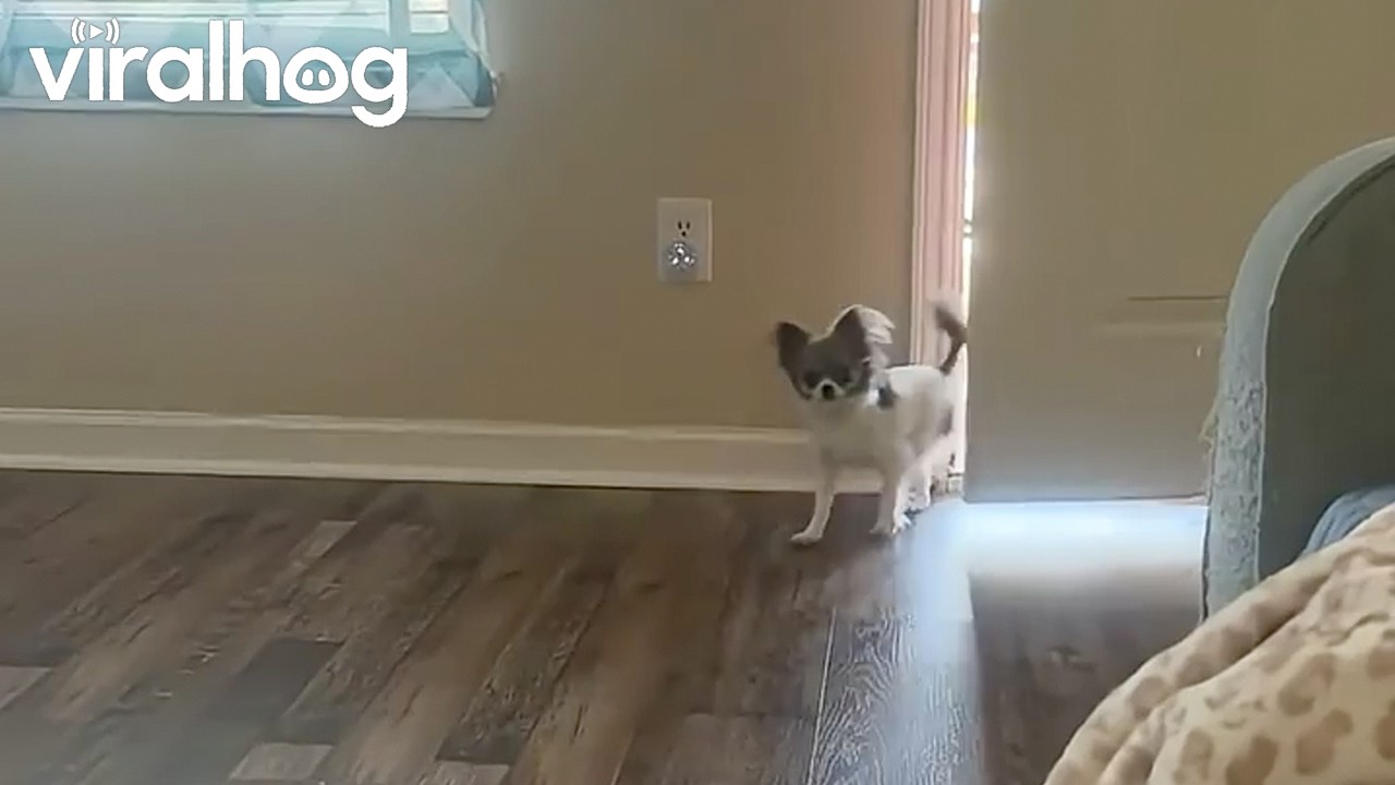 I Think She Feels Responsible for Me || ViralHog