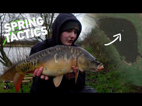 How To Catch More Carp In Spring 2024 - Tips, Tricks And More!!