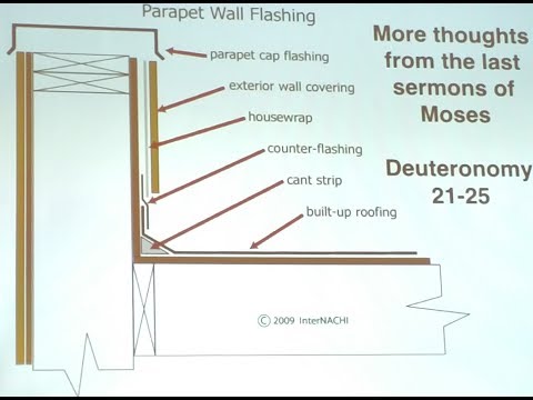 Deuteronomy 21-25 :  More Thoughts from the Last Sermons of Moses