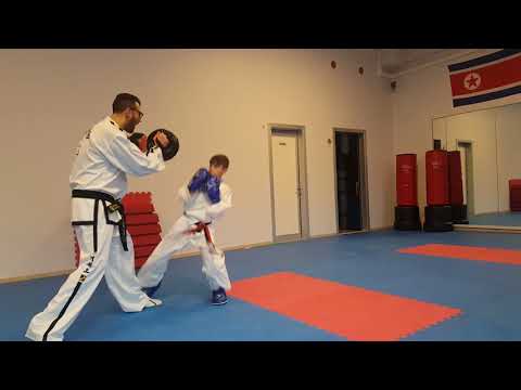 Road To Tallin Guglielmi Antonio Taekwon-do ITF